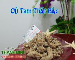 Mua bán củ tam thất bắc tại quận Long Biên hỗ trợ da căng bóng, khỏe mạnh