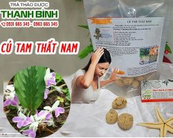 Mua bán củ tam thất nam tại quận Ba Đình giảm đau nhức xương khớp