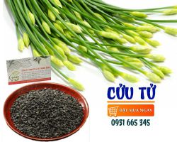 Mua bán cửu tử ở quận Tân Phú giúp điều trị chứng bệnh trĩ xuất huyết