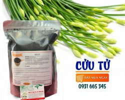 Mua bán cửu tử tại quận 2 giúp bổ thận tráng dương rất hiệu quả