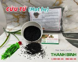 Mua bán cửu tử tại quận Hoàng Mai có tác dụng chữa hen suyễn