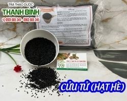 Mua bán cửu tử tại tp hcm uy tín chất lượng tốt nhất