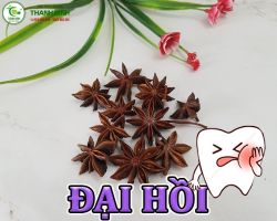 Mua bán đại hồi tại Hà Nam giúp hỗ trợ làm giảm đau nhức xương khớp hiệu quả