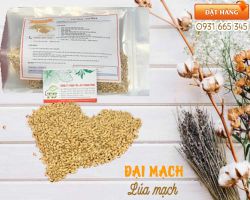 Mua bán đại mạch (lúa mạch) tại quận 6 có tác dụng chữa chướng bụng đầy hơi