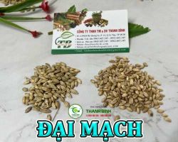 Mua bán đại mạch tại Bình Thuận giúp  ngăn ngừa các bệnh lý tim mạch hiệu quả