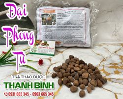 Mua bán đại phong tử ở quận Thủ Đức giúp điều trị phong ngứa