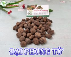 Mua bán đại phong tử tại Đồng Nai giúp điều trị các mụn nhọt hiệu quả