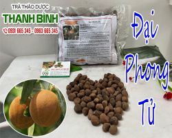 Mua bán đại phong tử tại quận 2 có tác dụng trị các đốt mụn nhọt an toàn nhất
