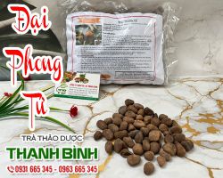 Mua bán đại phong tử tại quận 9 có khả năng trị viêm da an toàn tốt nhất