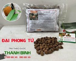 Mua bán đại phong tử tại quận Đống Đa điều trị các chứng bệnh lở loét