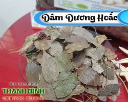 Mua bán dâm dương hoắc tại huyện Thường Tín chữa hen suyễn rất tốt