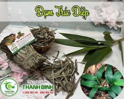 Mua bán đạm trúc diệp tại huyện Ba Vì trị tiểu tiện khó khăn