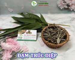 Mua bán đạm trúc diệp tại Tây Ninh có công dụng điều trị tiểu ra máu hiệu quả nhất