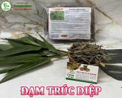 Mua bán đạm trúc diệp tại Vũng Tàu có công dụng tiêu viêm thanh nhiệt và lợi tiểu, trừ phiền
