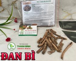 Mua bán đan bì tại Bình Định có công dụng điều trị hạ huyết áp hiệu quả nhất