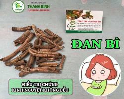 Mua bán đan bì tại huyện Ứng Hòa có công dụng điều trị chứng mất ngủ