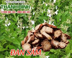 Mua bán đan sâm tại quận 2 có tác dụng điều hòa khí huyết