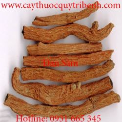 Mua bán đan sâm tại quận Phú Nhuận có tác dụng chữa đau nhức xương khớp