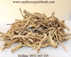 Mua bán đẳng sâm tại Bắc Giang có tác dụng hạ huyết áp hiệu quả nhất
