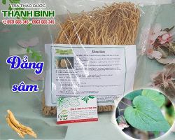 Mua bán đẳng sâm tại Sơn Tây điều trị ho, hư lao