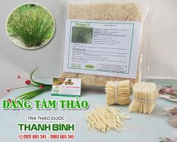 Mua bán đăng tâm thảo tại huyện Hoài Đức có tác dụng điều trị tiểu ra máu