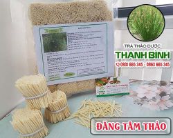 Mua bán đăng tâm thảo tại quận 8 có công dụng chữa sốt rất hiệu quả