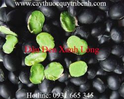 Mua bán đậu đen xanh lòng tại tp hcm uy tín chất lượng tốt nhất
