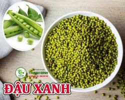 Mua bán đậu xanh tại quận Thanh Xuân có công dụng chống viêm nhiễm tốt nhất