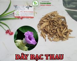 Mua bán dây bạc thau tại Hải Dương giúp điều trị chứng viêm phế quản