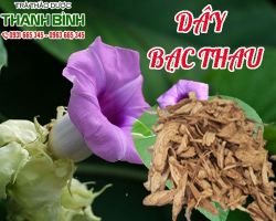 Mua bán dây bạc thau tại quận 8 giúp điều hòa kinh nguyệt hiệu quả