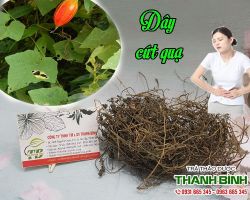 Mua bán dây cứt quạ tại huyện Phúc Thọ giúp ăn ngon miệng sau khi sanh