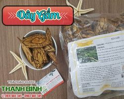 Mua bán dây gắm tại huyện Chương Mỹ chữa tay chân tê buốt