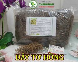 Mua bán dây tơ hồng ở quận Bình Thạnh có công dụng giúp thanh lọc gan