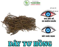 Mua bán dây tơ hồng tại An Giang có công dụng thanh nhiệt cơ thể ngừa rôm sảy