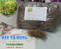Mua bán dây tơ hồng tại Hà Nội uy tín chất lượng tốt nhất