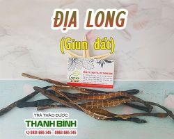 Mua bán địa long ở quận Phú Nhuận giúp hạ huyết áp
