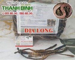Mua bán địa long tại huyện Phúc Thọ giúp hạ huyết áp