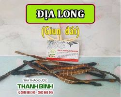 Mua bán địa long tại quận 5 hỗ trợ điều trị chứng động kinh tốt nhất