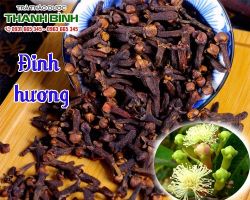 Mua bán đinh hương tại huyện Chương Mỹ có tác dụng ngăn ngừa bệnh gan