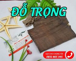 Mua bán đỗ trọng tại huyện Sóc Sơn hỗ trợ chữa động thai và dọa sảy