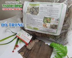 Mua bán đỗ trọng tại quận 11 có tác dụng giảm đau hiệu quả tốt nhất
