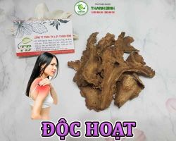 Mua bán độc hoạt tại Hà Tĩnh có công dụng tốt cho người táo bón hiệu quả