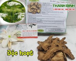 Mua bán độc hoạt tại huyện Sóc Sơn chữa táo bón