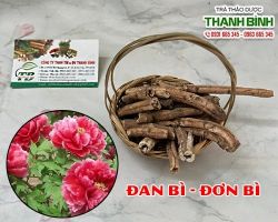 Mua bán đơn bì tại huyện Đông Anh chữa trị tình trạng bìu sa xệ