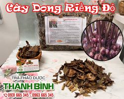 Mua bán dong riềng đỏ ở quận Bình Thạnh trị rối loạn thần kinh an toàn nhất