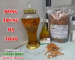Mua bán đông trùng hạ thảo tại huyện Thanh Trì giúp tăng cường đề kháng