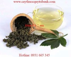 Mua bán giảo cổ lam (cỏ đắng) tại Cần Thơ giảm căng thẳng tốt nhất