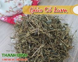 Mua bán giảo cổ lam tại huyện Quốc Oai chữa viêm phế quản mãn tính