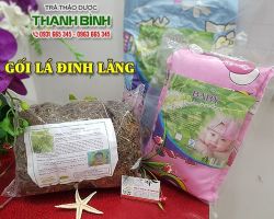 Mua bán gối lá đinh lăng tại huyện Từ Liêm giúp giảm căng thẳng mệt mỏi