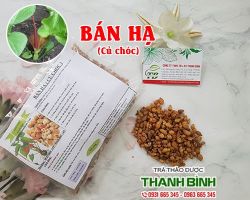 Mua bán hạ (củ chóc) giá rẻ uy tín chất lượng nhất ở đâu tại TPHCM ?